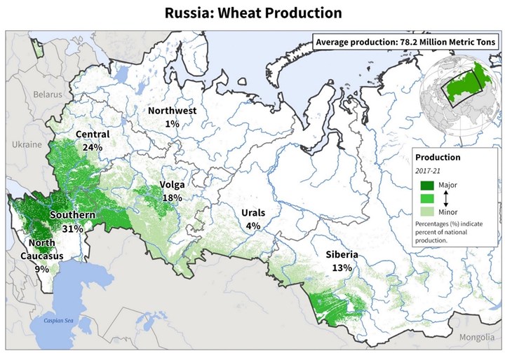Fordelingen af Ruslands hvedeproduktion