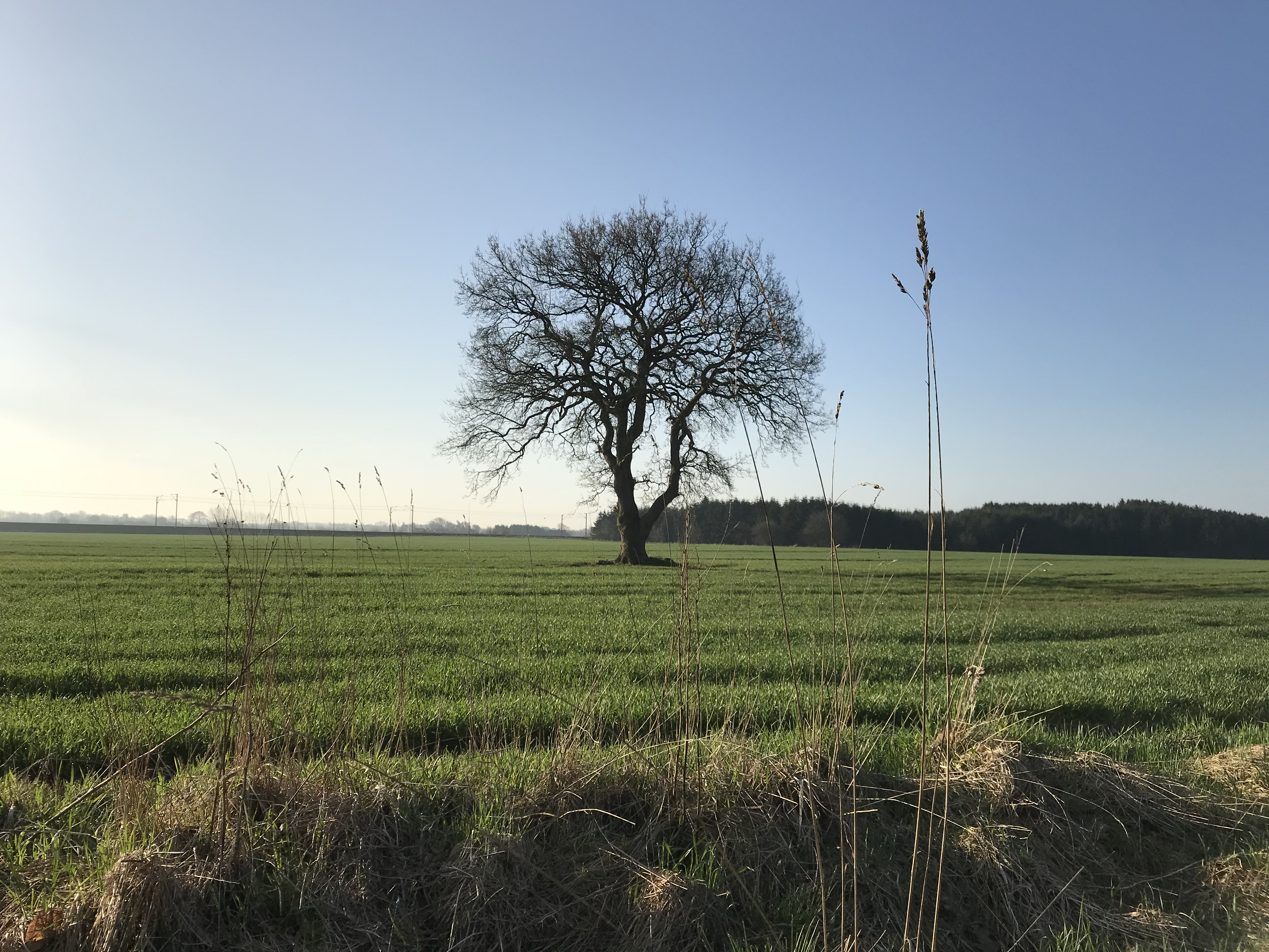 Forrygende start på jordprisen i 2021