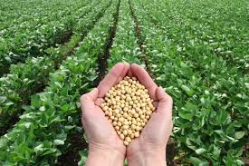 Sikrer gode råvarepriser til danske landmænd