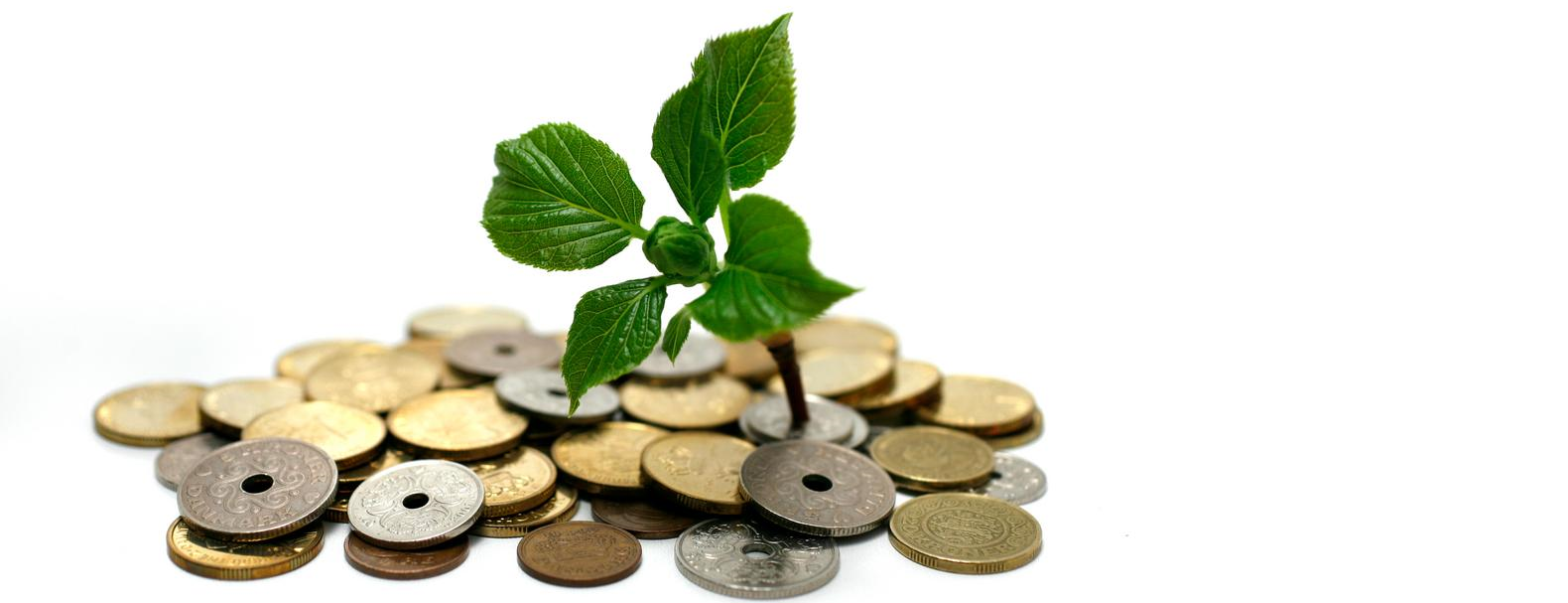 Gratis tilbud fra Agrocura