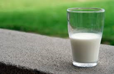 Agrocura: Pæne udsigter for mælkeproducenterne