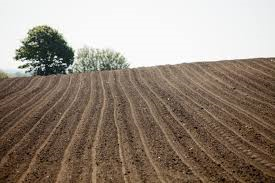 Nye jordpriser - 4. kvartal 2018