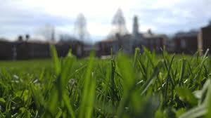 Hvordan ser vi råvaremarkedet udvikle sig?