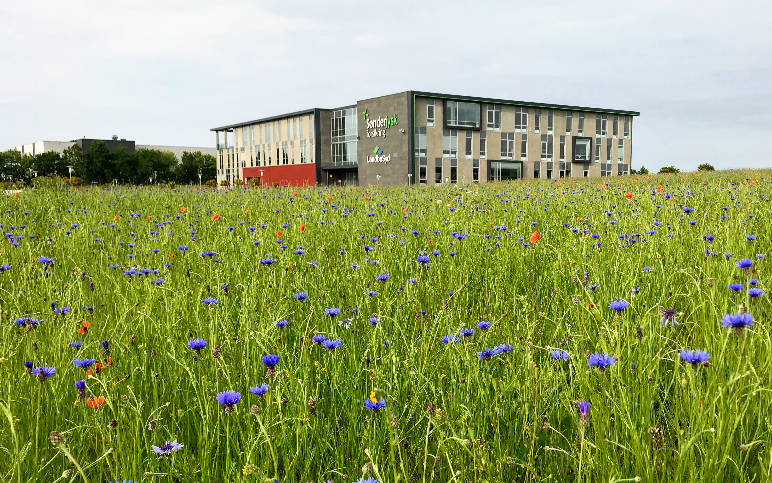 LandboSyd sælger Fondsmæglerselskabet Agrocura A/S