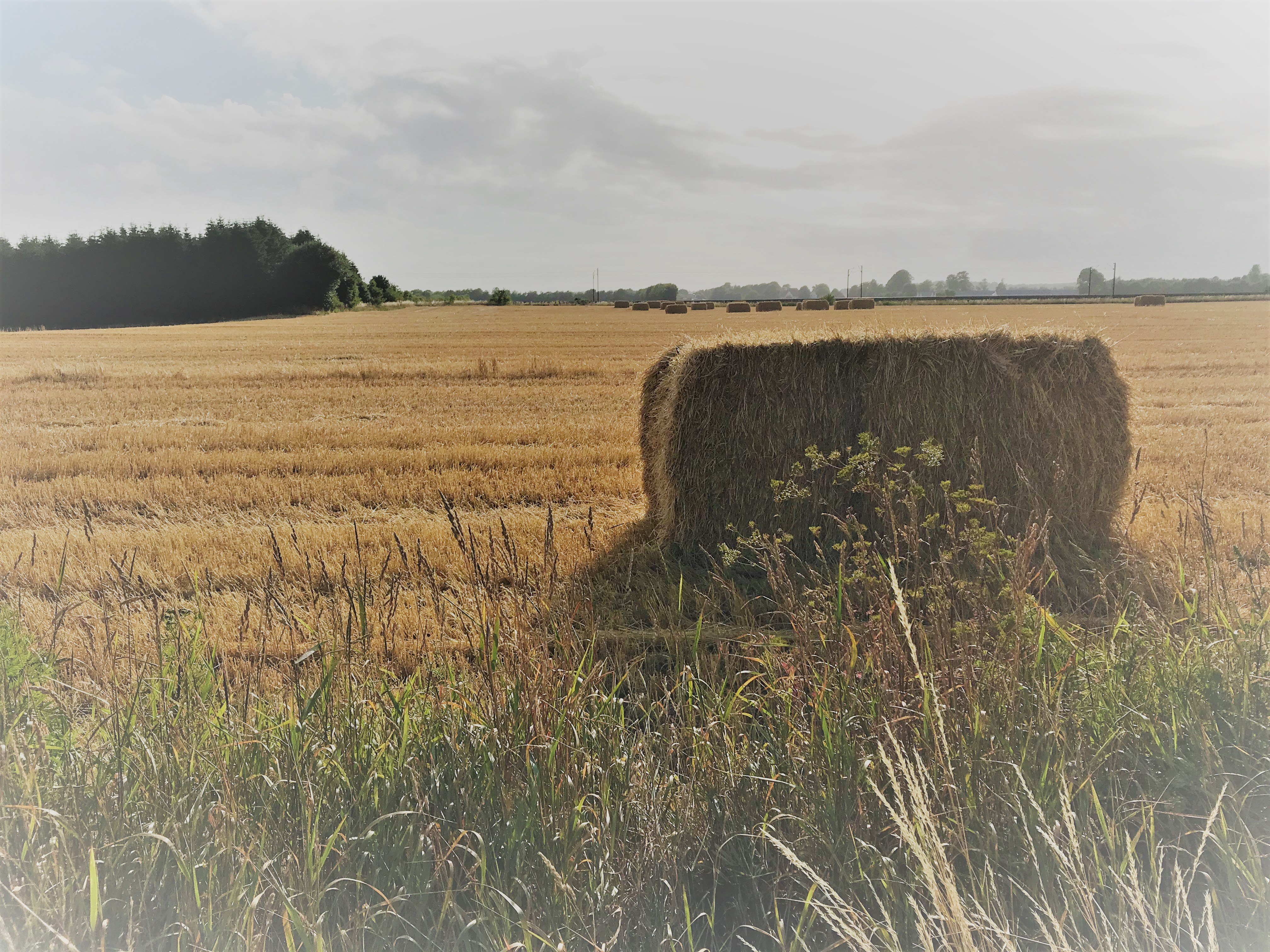 Agrocura holder åbent hus!
