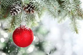 Fondsmæglerselskabet Agrocura ønsker en rigtig glædelig jul og et godt nytår!