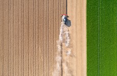 Rådgiver vil lave platform til landmænds klimakreditter