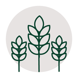 Agrocura | råvarerikon