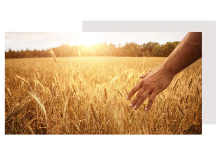 Agrocura | Råvarestrategi
