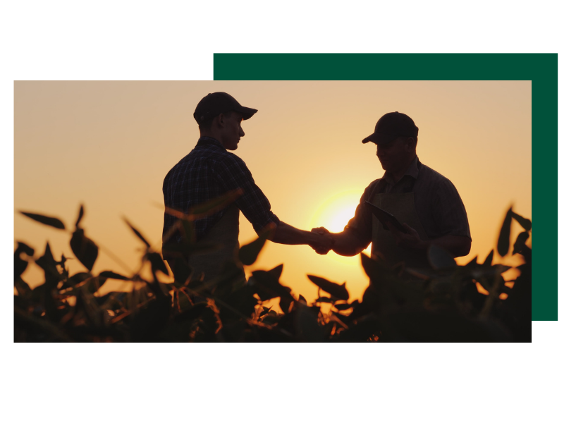 Agrocura | ERFA gruppe | Facilitering | vidensdeling