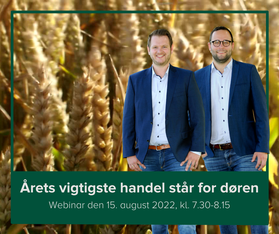 August opdatering på kornmarkederne