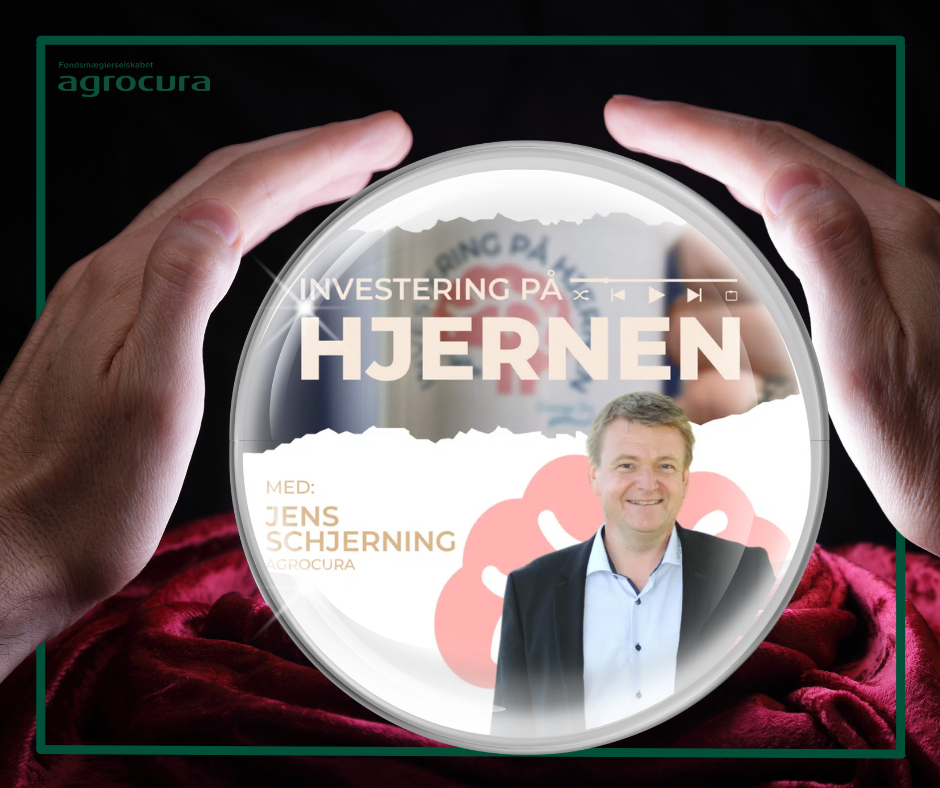 Forecast finansielle markeder 2024 - Jens Schjerning gæster Investering på Hjernen