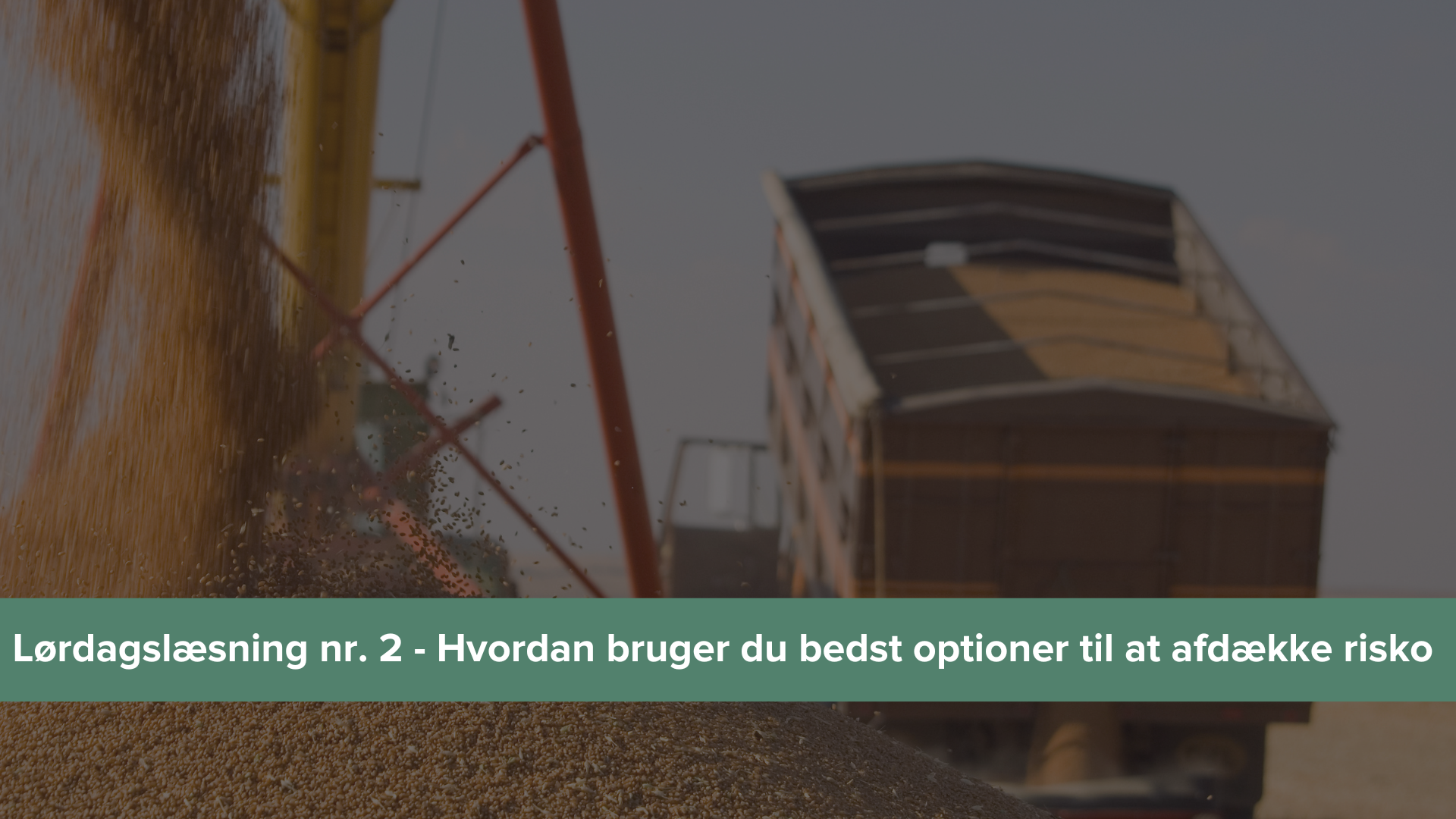 Agrocura Lørdagslæsning omkring brugen af optioner med billede af lastbil med korn der er ved at tippe samt en kornsilo 