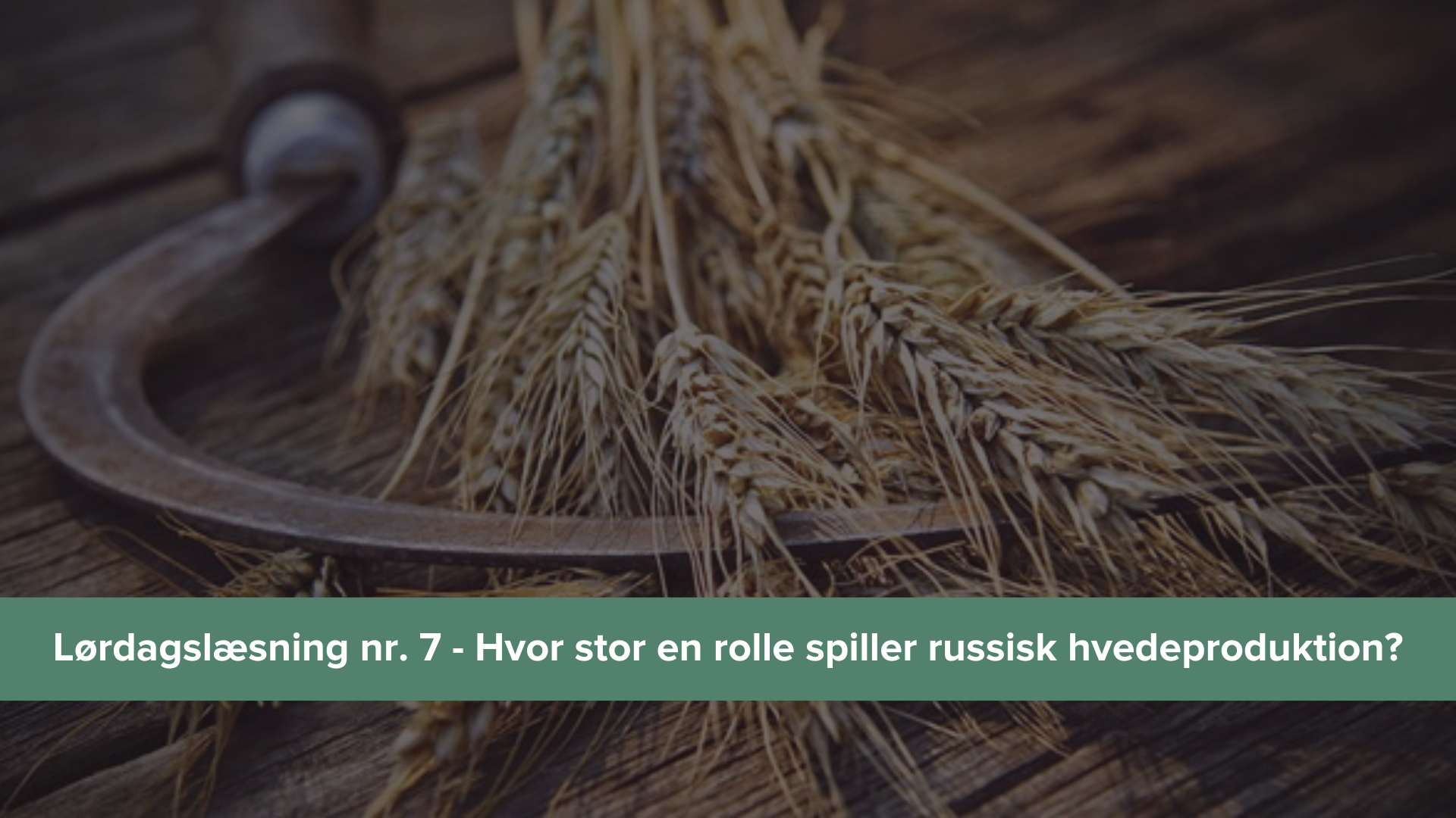 Lørdagslæsning 7 - hvedesituationen i Rusland