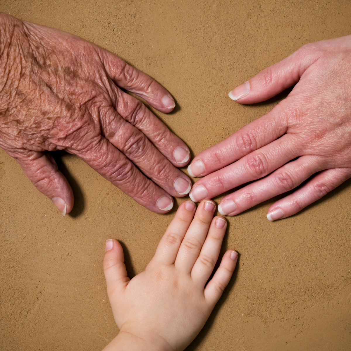 Podcast: Ejerskifte og exitstrategier i landbruget