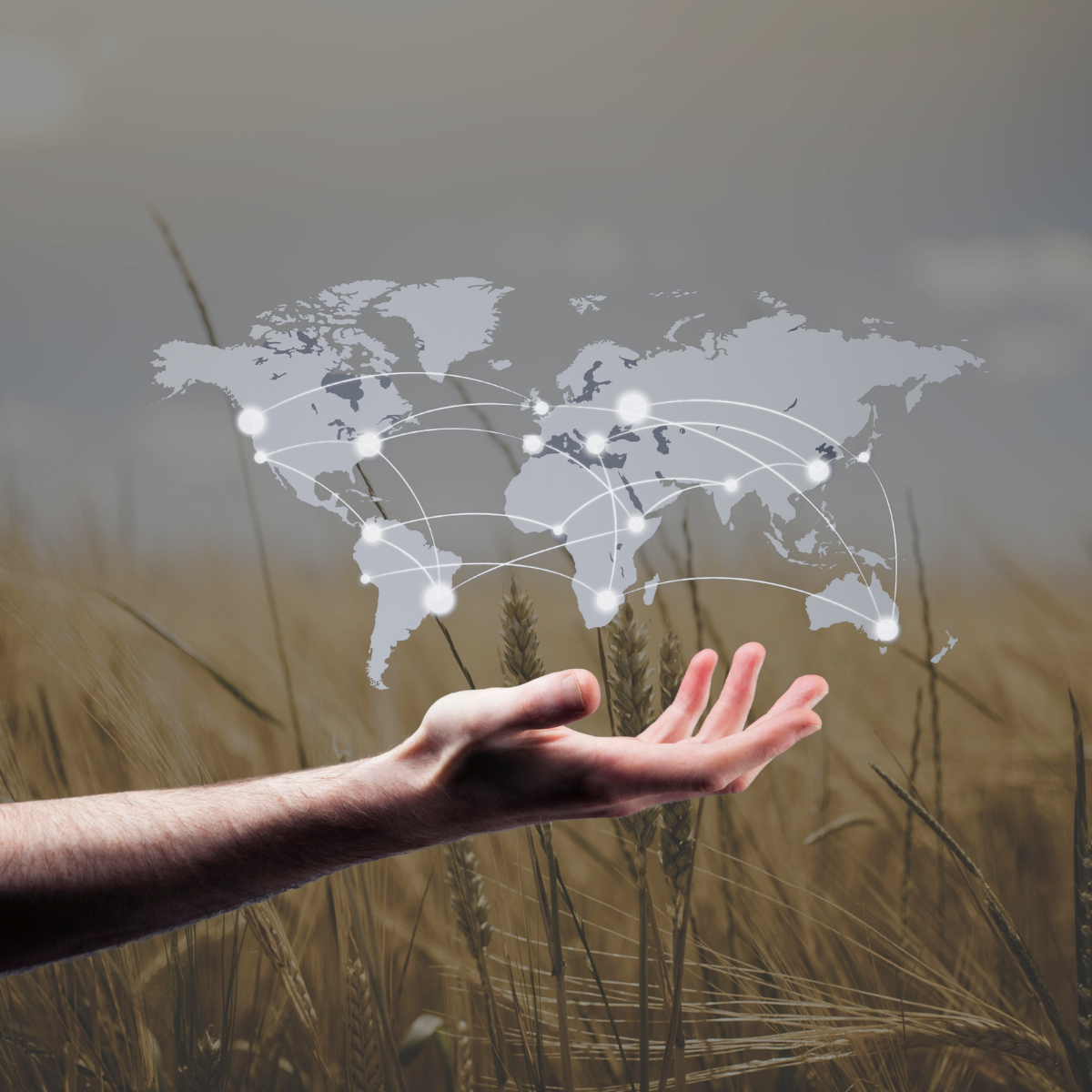 Lørdagslæsning nr. 13: Sammenhængen mellem det europæiske og amerikanske afgrødemarked