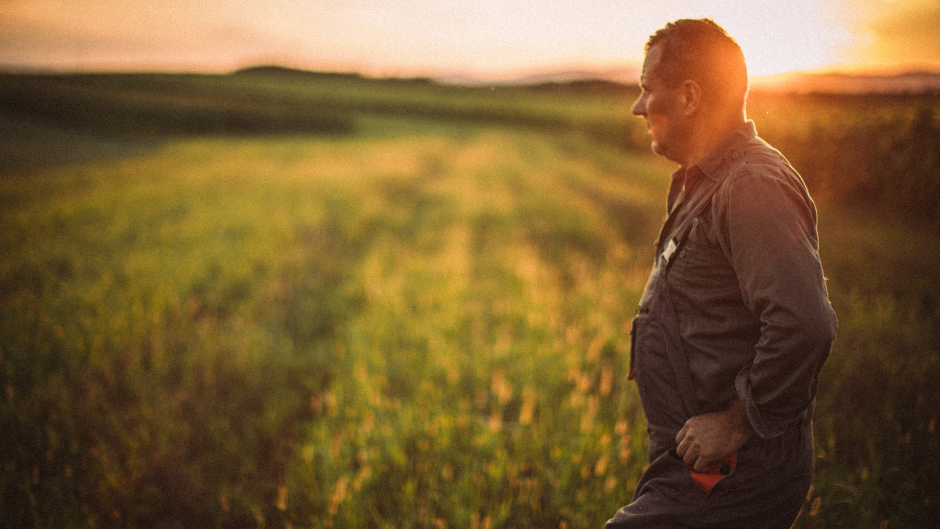 Stor efterspørgsel i et smalt marked - og større mørketal end tidligere